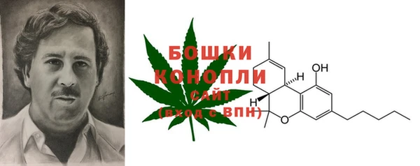 ПСИЛОЦИБИНОВЫЕ ГРИБЫ Коряжма