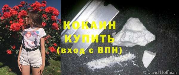 mdpv Козловка
