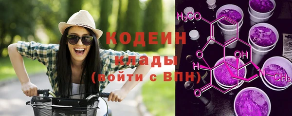 дмт Кодинск